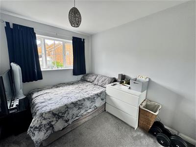 Picture 20